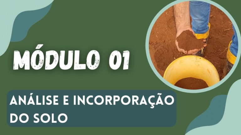 Módulo 01 Faculdade Hortaliças - Análise e Incorporação do solo