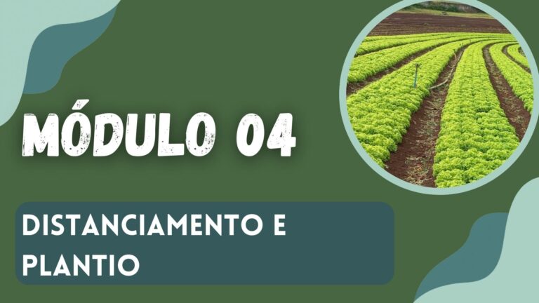 Distanciamento e plantio - Módulo 4 Magrão Hortaliças