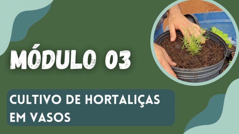 Hortaliças em vasos - Módulo 3 Faculdade Hortaliças